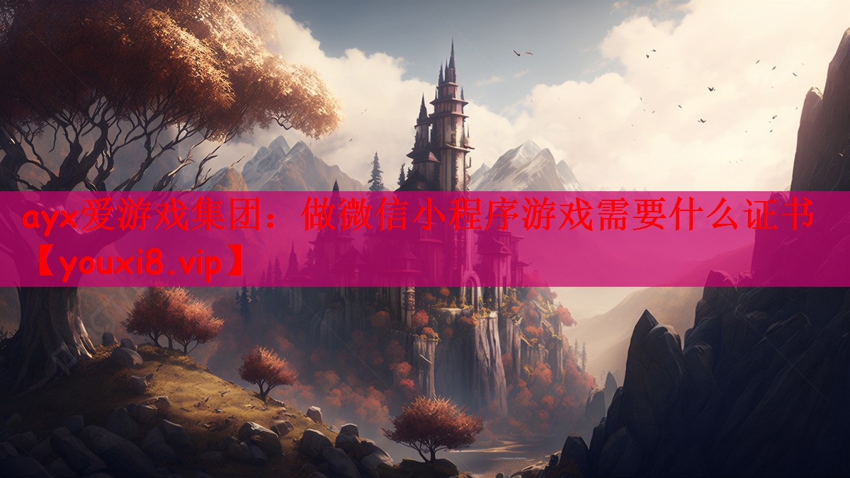 ayx爱游戏集团：做微信小程序游戏需要什么证书