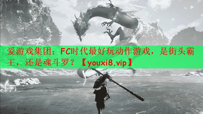 爱游戏集团：FC时代最好玩动作游戏，是街头霸王，还是魂斗罗？