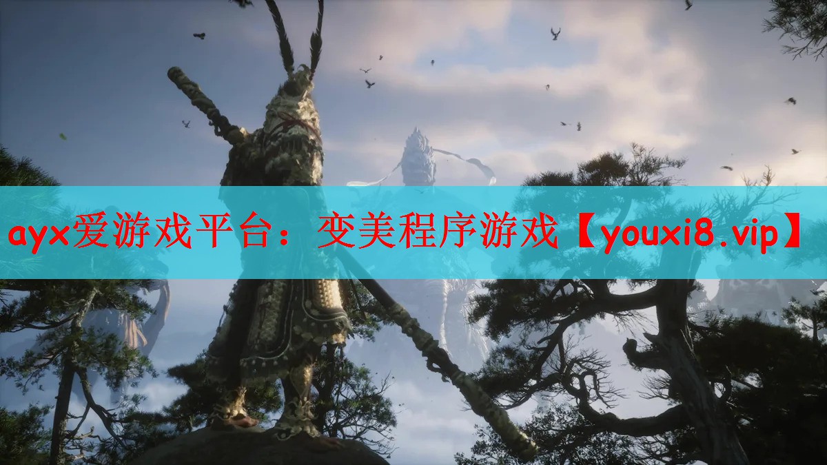变美程序游戏